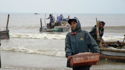 Trúng đậm mùa moi biển, ngư dân Thanh Hóa thu tiền triệu mỗi ngày - ảnh 4