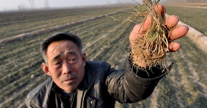 Trung Quốc sẽ làm thay đổi toàn bộ ngành nông nghiệp thế giới?