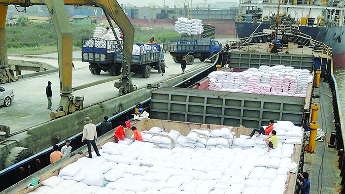 Philippines dựng rào cản kỹ thuật có gây khó cho gạo Việt Nam?