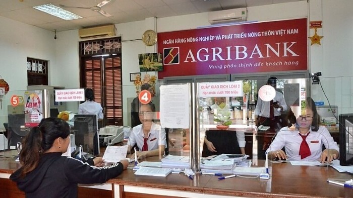 Kiểm toán lưu ý khả năng hoạt động liên tục công ty con của Agribank