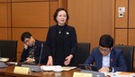 Bộ trưởng Bộ Nội vụ Phạm Thị Thanh Trà - Ảnh: Quốc hội