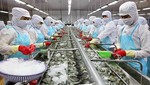 Tôm chế biến sâu của Việt Nam đang khẳng định vị thế số 1 trên thị trường toàn cầu