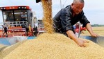 Sản xuất lúa gạo của Trung Quốc đang bị ảnh hưởng xấu do thiếu nước.