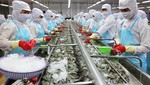 Đang lỗ gần 110 tỷ đồng, một tập đoàn hàng đầu Việt Nam vẫn 'gồng' 165 tỷ đồng chi cổ tức