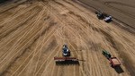 Thu hoạch lúa mì ở vùng Ternopil của Ukraine. Ảnh: Getty Images