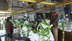 Nâng cao chất lượng để tăng cường giá trị xuất khẩu nông sản Việt Nam. Ảnh: TTXVN