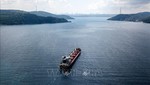 Tàu chở ngũ cốc của Ukraine di chuyển tại Eo biển Bosphorus ở Istanbul, Thổ Nhĩ Kỳ, ngày 7/8/2022. Ảnh: AFP/TTXVN