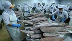 Chế biến cá ngừ đại dương đông lạnh xuất khẩu tại nhà máy của Công ty Cổ phần Thủy sản Bình Định. Ảnh: Vũ Sinh/TTXVN