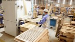 Sản xuất đồ gỗ xuất khẩu sang thị trường EU tại Công ty CP WOODSLAND Tuyên Quang. Ảnh tư liệu: TTXVN