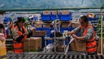 Nhân viên đóng gói hàng hóa tại một chi nhánh kho vận của Alibaba ở Vô Tích, tỉnh Giang Tô, Trung Quốc. (Ảnh: AFP/TTXVN)