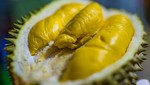 Trung Quốc ăn sầu riêng "nhà trồng" vào tháng 6 - Thái Lan, Việt Nam, Malaysia có sợ mất thị trường xuất khẩu tỷ USD?