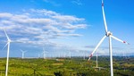 Dự án nhà máy điện gió Ea Nam do Điện gió Trung Nam Đắk Lắk 1 là chủ đầu tư