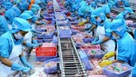 Doanh nghiệp Việt Nam chế biến thủy sản xuất khẩu