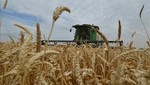 Thu hoạch lúa mỳ trên cánh đồng ở Stavropol, Nga. Ảnh: AFP/TTXVN