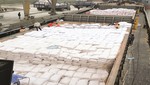 5 tháng đầu năm xuất khẩu gạo đạt 3,619 triệu tấn, trị giá 1,916 tỷ USD.