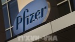 Biểu tượng hãng dược Pfizer tại Cambridge, Massachusetts, Mỹ. Ảnh: AFP/ TTXVN