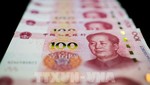 Đồng tiền mệnh giá 100 Nhân dân tệ tại Bắc Kinh, Trung Quốc. Ảnh: AFP/TTXVN