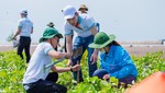 13.000 cây phi lao do ABBANK tài trợ được trồng tại rừng phòng hộ ven biển Tiền Giang.