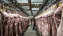 Trung Quốc muốn mua gom thịt lợn để ngăn giá tăng sốc trước thềm Quốc khánh 