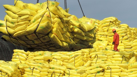 Làn sóng mua gạo dâng cao trên toàn cầu bởi lo ngại về quy định của Ấn Độ