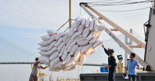 Thị trường xuất khẩu gạo vẫn bó hẹp dù lượng doanh nghiệp tăng mạnh