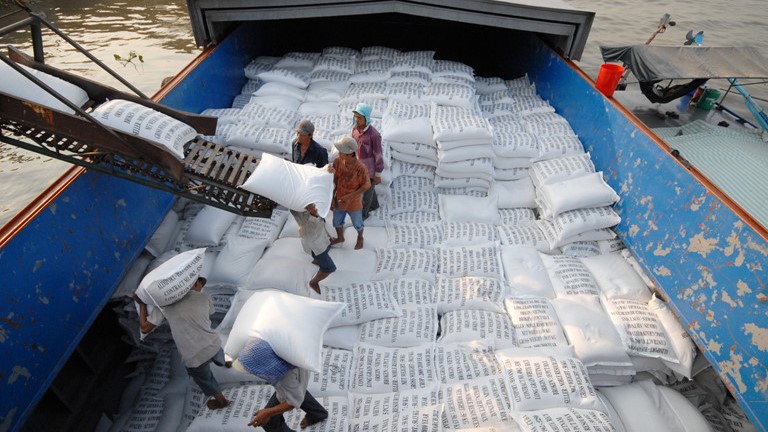 Doanh nghiệp xuất khẩu gạo “nín thở” chờ đợi quyết định của Thủ tướng