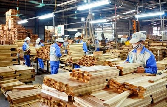 Chế biến và xuất khẩu gỗ Việt Nam trong những năm gần đây ghi nhận sự tăng trưởng nhanh chóng, song bên cạnh đó cũng đối diện với không ít rủi ro. Ảnh minh họa