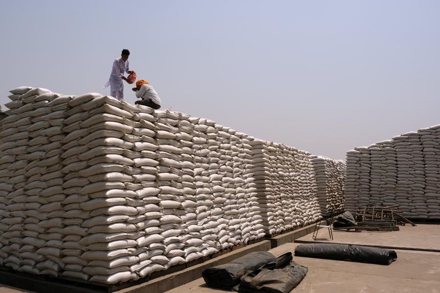 Ấn Độ - nhà sản xuất lúa mì lớn thứ 2 thế giới - vừa cấm xuất khẩu lúa mì để đảm bảo an ninh lương thực trong nước. Ảnh: Reuters.