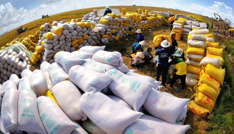 VNDirect nhận định một số doanh nghiệp xuất khẩu gạo của Việt Nam sẽ được hưởng lợi nhờ xu hướng tăng giá của gạo (Ảnh minh họa)