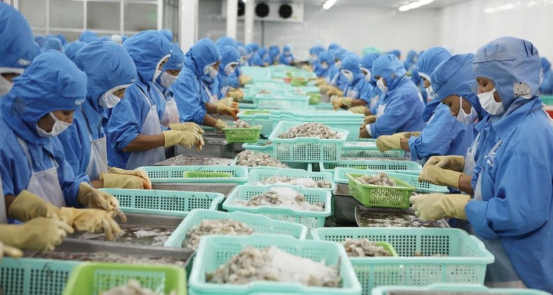 Đơn hàng xuất khẩu của các doanh nghiệp Việt Nam đang chậm lại.