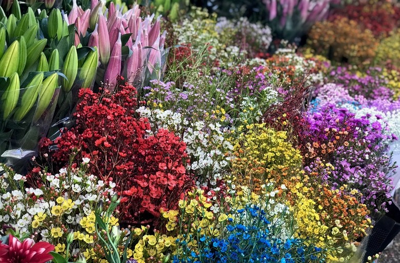 Tại các chợ hoa truyền thống không khó để nhận ra sự hiện diện có phần áp đảo của các loại hoa, cây cảnh Trung Quốc. Ảnh: Thanh Thương.
