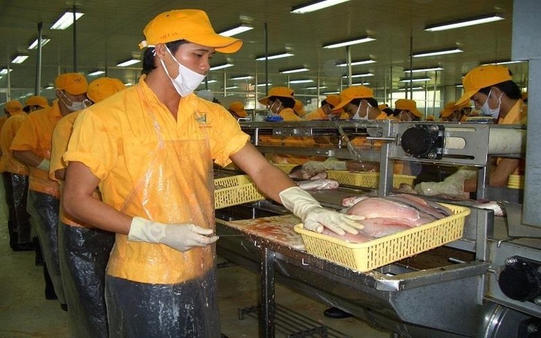 Top 4 thị trường xuất khẩu cá tra gồm: Trung Quốc, Mỹ, EU và CPTPP. - Ảnh Nguyễn Huyền 