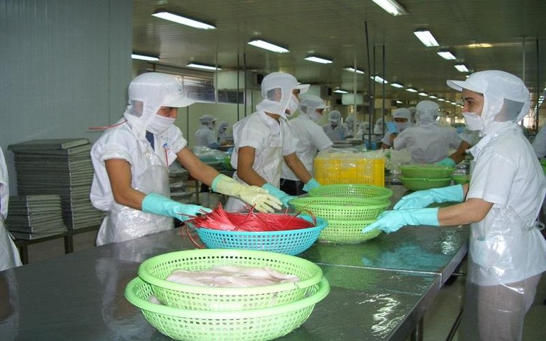 Thêm 6 nhà máy cá tra được xuất sang Hoa Kỳ - Ảnh Nguyễn Huyền