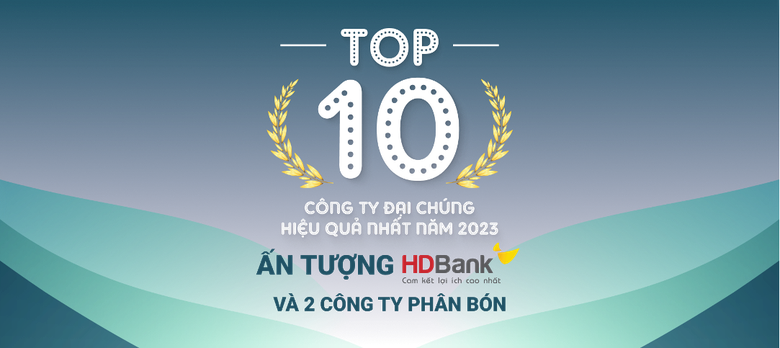 Top 10 công ty đại chúng hiệu quả nhất năm 2023: Ấn tượng HDBank