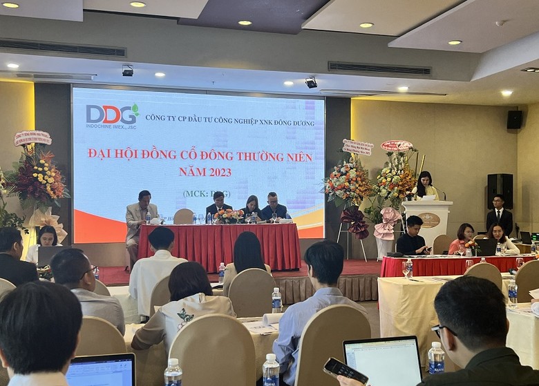 Bà Trần Kim Sa, CEO DDG chia sẻ về tình hình kinh doanh - Ảnh: Huyền Châm